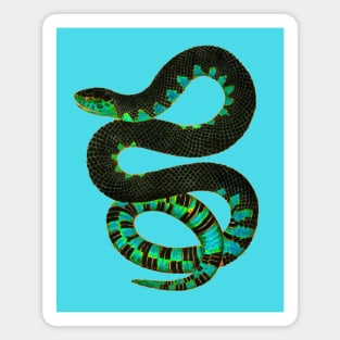 serpent cobra reptile viper venom lizard Magnet